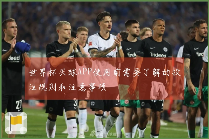世界杯买球APP使用前需要了解的投注规则和注意事项