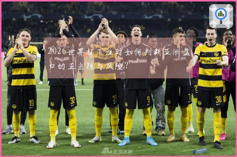 2026世界杯下注时如何判断亚洲盘口的正当性与风险？