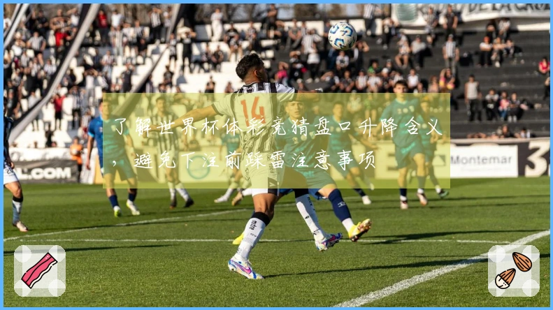 了解世界杯体彩竞猜盘口升降含义，避免下注前踩雷注意事项