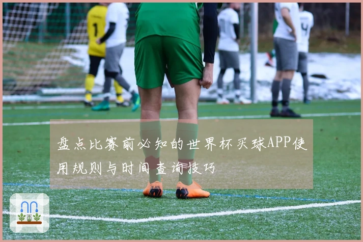 盘点比赛前必知的世界杯买球APP使用规则与时间查询技巧